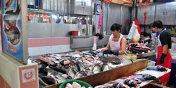 Singapore fish market 250